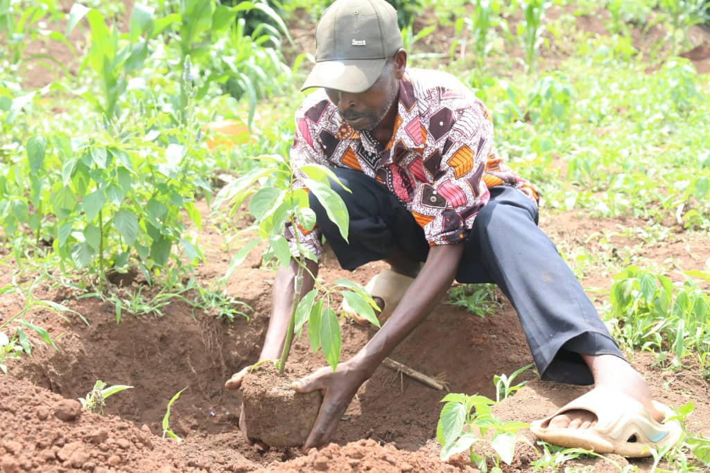 Minisitiri w’Ibidukikije Dr Uwamariya Valentine yasabye Abanyarwanda bose gutera ibiti by’imbuto