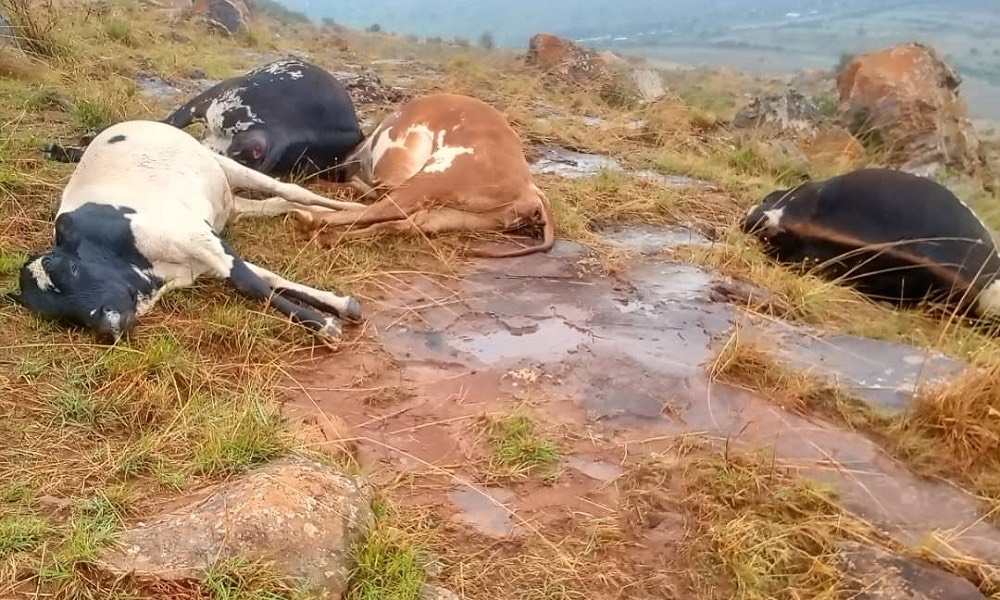 Inkuba yishe umuntu umwe n’amatungo 24 i Kirehe