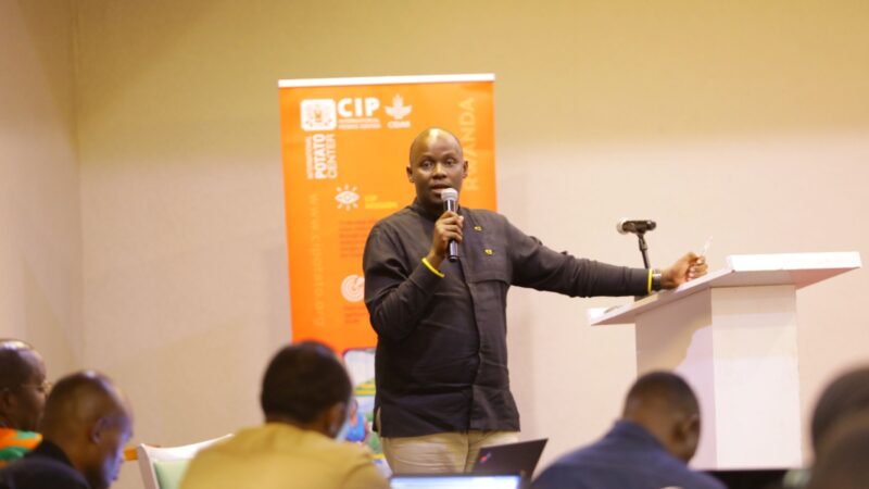 Iterambere ry’Ubuhinzi bw’Ibijumba mu Rwanda: Umuti ku Mirire Mibi n’Ubukungu bw’Abahinzi