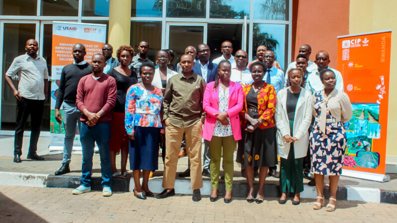 Mu Rwanda umusaruro w’ibirayi uri kwigwaho uko wa kwiyogera