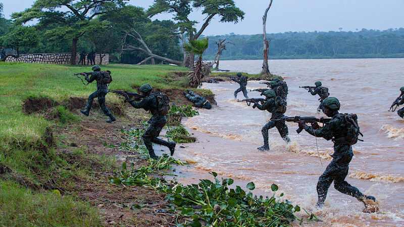 Amerika yikomye ibihugu biterura ngo bishinje ingabo zu Rwanda kuba muri RDC