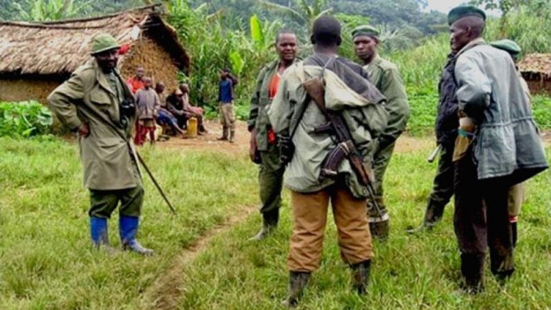 Umutwe wa FDLR urwanya ubutegetsi bw’u Rwanda witabaje Perezida Lourenço wa Angola