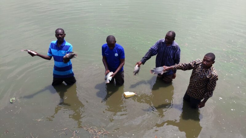 Nyagatare: CODEPOITA y’aborozi b’amafi i Tabagwe yitezweho guhindura ubuzima bw’abaturage