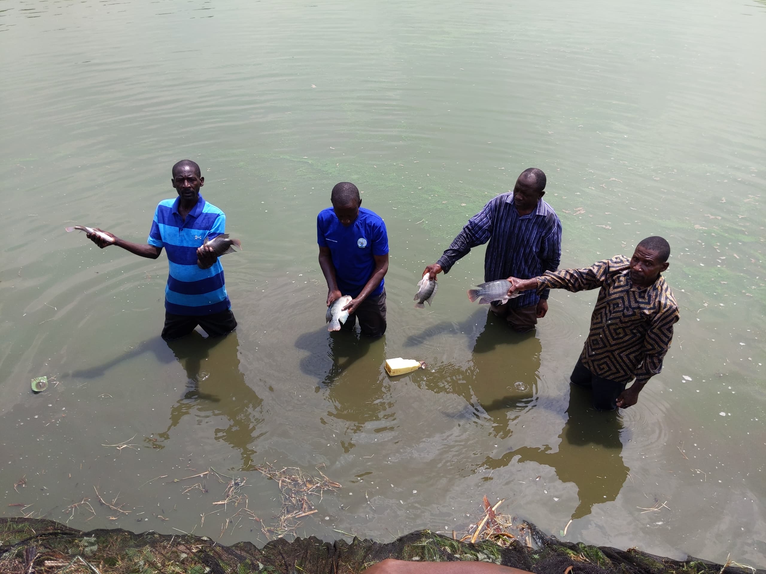 Nyagatare: CODEPOITA y’aborozi b’amafi i Tabagwe yitezweho guhindura ubuzima bw’abaturage