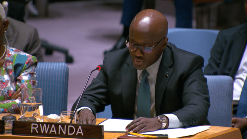 Si u Rwanda rwigaruriye Bukavu na Goma ni M23: Nduhungirehe