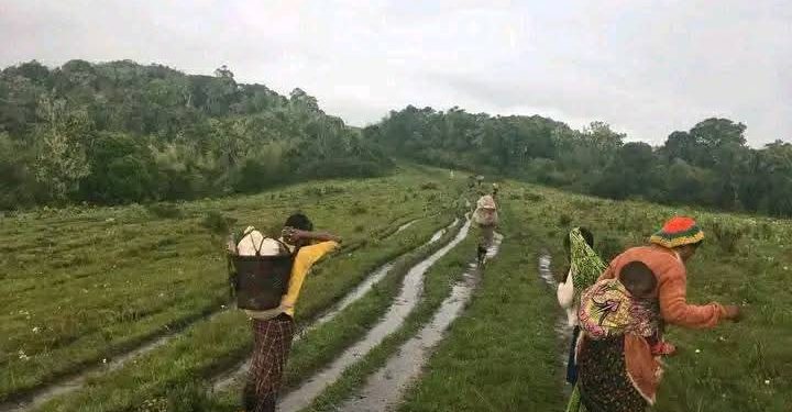 FARDC nabo bafatanyije bazindutse bagaba igitero mu Mikenke