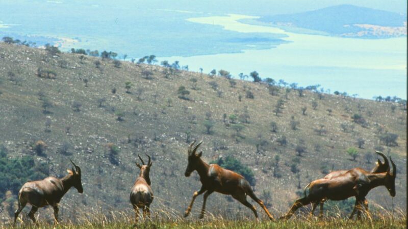 Ese si njyewe na we tuzikeneye kurusha undi uwo ari we wese?