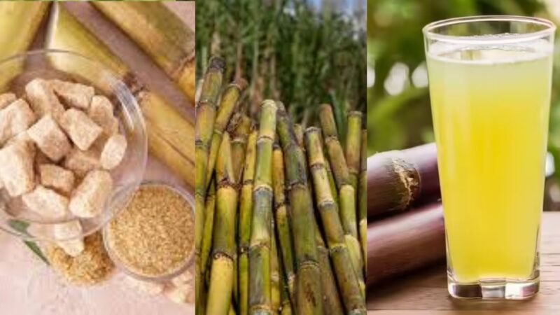 Sugarcane: A valuable crop for health and nutrition