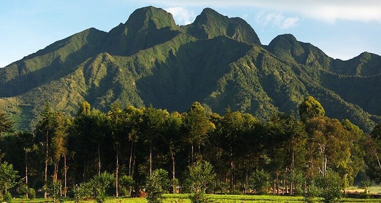 Rwanda: A Jewel in the Heart of East Africa