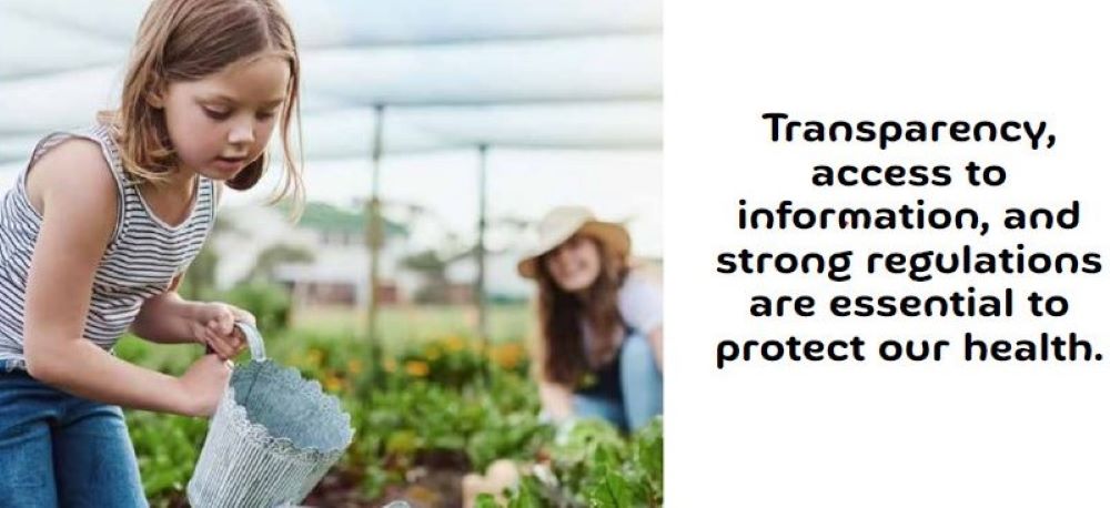Invisible Chemical Threats: How Endocrine-Disrupting Chemicals Are Putting Women’s Health at Risk