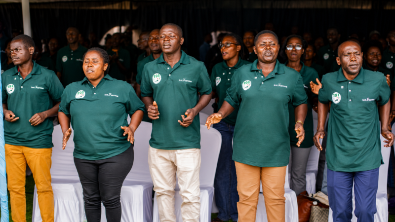 Abamamazabuhinzi 311 bahawe inshingano zo kuvugurura ubuhinzi