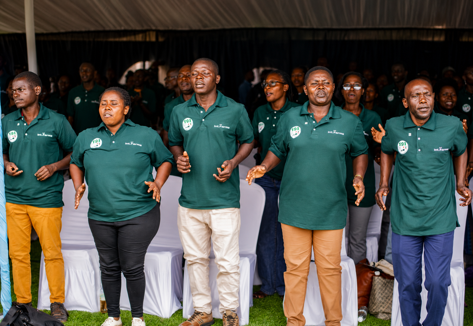 Abamamazabuhinzi 311 bahawe inshingano zo kuvugurura ubuhinzi